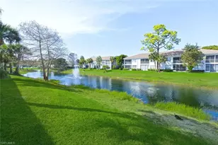 6899 Rain Lily Rd, Naples, FL 34109 - Photo 30