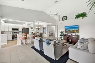 24619 Ivory Cane Dr, Bonita Springs, FL 34134 - Photo 6