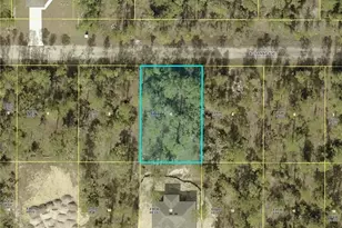 309 Rosanna Ave, Lehigh Acres, FL 33972 - Photo 1