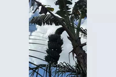 219 Cypress Way W, Naples, FL 34110 - Photo 32