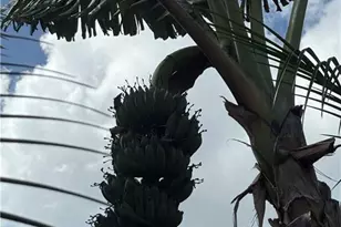 219 Cypress Way W, Naples, FL 34110 - Photo 32