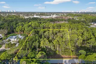 25210 Papillion Dr, Bonita Springs, FL 34135 - Photo 2