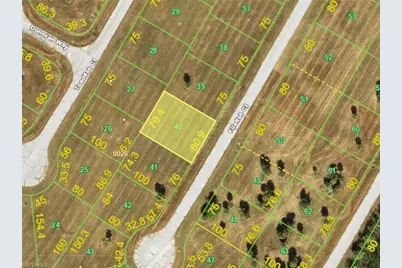 12799 Filefish Ct, Placida, FL 33946 - Photo 2