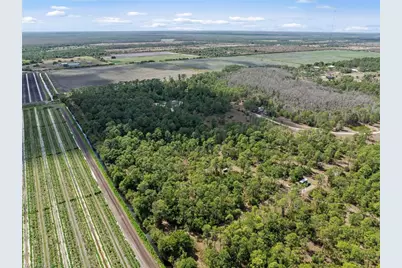 20601 Estero Pines Rd, Estero, FL 33928 - Photo 2