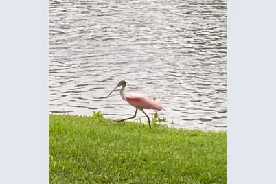 9241 Spring Run Blvd #2206, Estero, FL 34135 - Photo 16