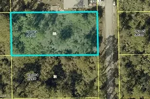 2019 Scott Ave, Alva, FL 33920 - Photo 1