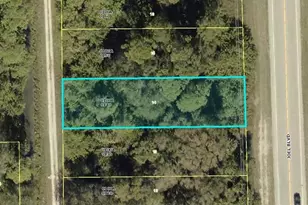 2249 Joel Blvd, Alva, FL 33920 - Photo 1