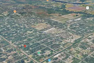 2004 Wells Ave, Alva, FL 33920 - Photo 4