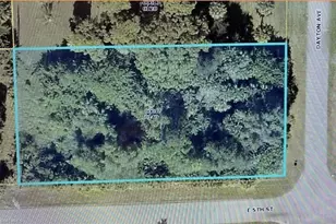 501 Dayton Ave, Lehigh Acres, FL 33972 - Photo 2