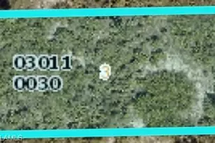 1218 Poinsettia Ave, Lehigh Acres, FL 33972 - Photo 1