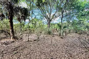 19850 Burgundy Farms Rd, Estero, FL 33928 - Photo 6