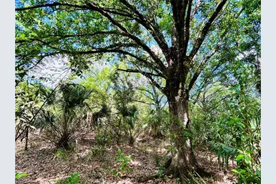 19850 Burgundy Farms Rd, Estero, FL 33928 - Photo 8