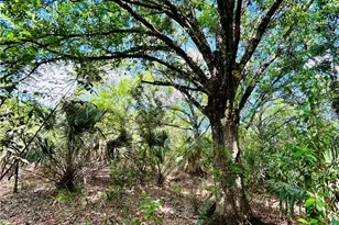 19850 Burgundy Farms Rd, Estero, FL 33928 - Photo 8