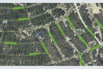 297 Blue Horizon Dr, Lake Placid, FL 33852 - Photo 1