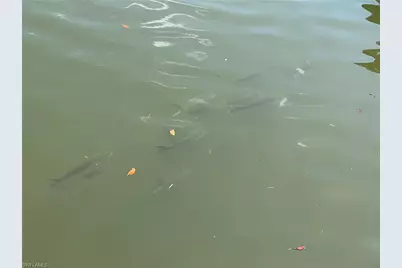 4754 Spring Creek Dr, Bonita Springs, FL 34134 - Photo 10