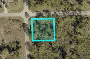 900 East 11th Street, Lehigh Acres, FL 33972 - Photo 1