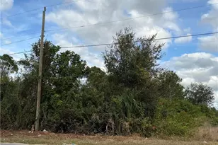 53 Hanna Ave S, Lehigh Acres, FL 33976 - Photo 6