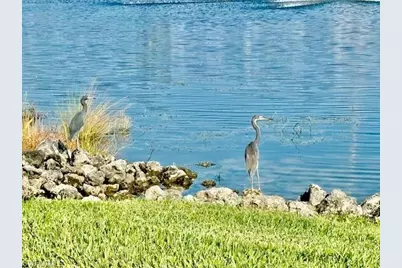 28318 Captiva Shell Loop, Bonita Springs, FL 34135 - Photo 22