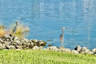 28318 Captiva Shell Loop, Bonita Springs, FL 34135 - Photo 22