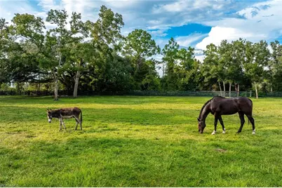 21531 N River Rd, Alva, FL 33920 - Photo 24