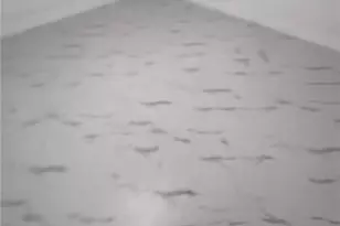 151 Cypress Way E, Naples, FL 34110 - Photo 10