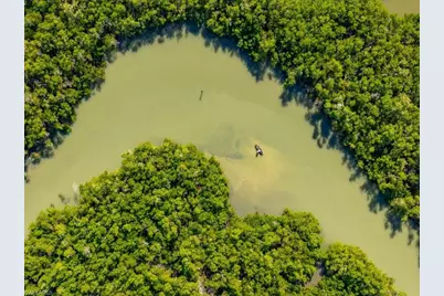 24526 Redfish St, Bonita Springs, FL 34134 - Photo 12