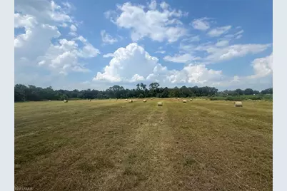 [Address not provided], Wauchula, FL 33873 - Photo 2