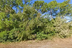 2901 13th St W, Lehigh Acres, FL 33971 - Photo 1