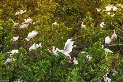 4201 Lake Forest Dr #1112, Bonita Springs, FL 34134 - Photo 38