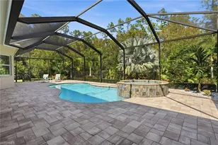 25483 Luci Dr, Bonita Springs, FL 34135 - Photo 4