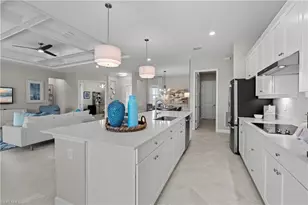 14357 Lagoon Ln, Babcock Ranch, FL 33982 - Photo 8