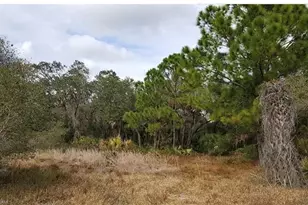 15498 Ravine Ave, Port Charlotte, FL 33953 - Photo 1