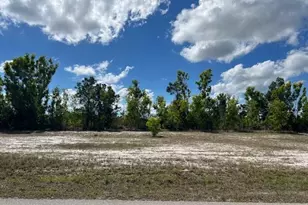 3518 NW 47th St, Cape Coral, FL 33993 - Photo 1