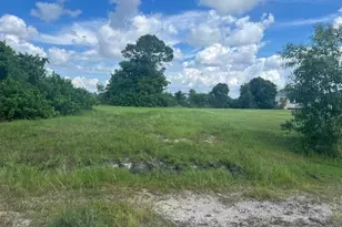 1317 NW 3rd Pl, Cape Coral, FL 33993 - Photo 1