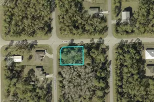 2024 Grayson Ave, Alva, FL 33920 - Photo 1