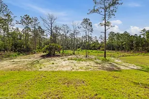 5044 44th St NE, Naples, FL 34120 - Photo 30