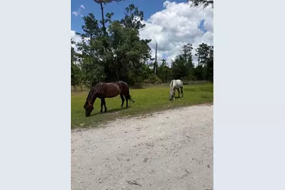1375 W Ash Rd, Labelle, FL 33935 - Photo 14