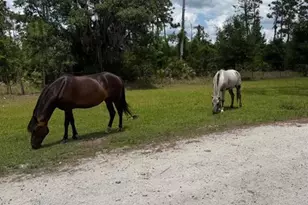 1375 W Ash Rd, Labelle, FL 33935 - Photo 14