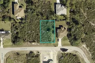 117 Plainview St, Lehigh Acres, FL 33974 - Photo 1