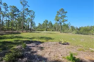 4048 33rd Ave NE, Naples, FL 34120 - Photo 38