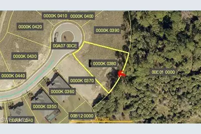 17334 Rocking Chair Ct, Alva, FL 33920 - Photo 2