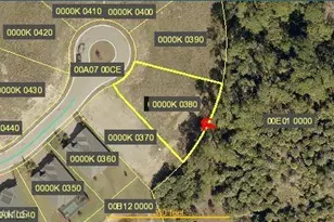 17334 Rocking Chair Ct, Alva, FL 33920 - Photo 2