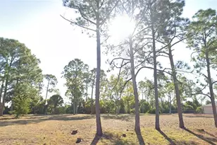 25845 Prada Dr, Punta Gorda, FL 33955 - Photo 2
