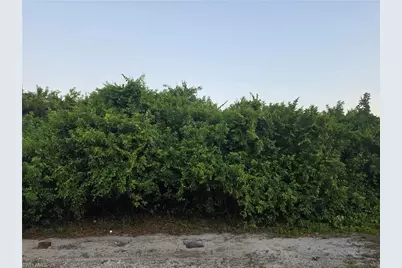 2615 5th St SW, Lehigh Acres, FL 33976 - Photo 4