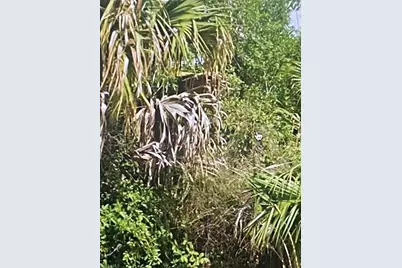 3774 2nd Ave NE, Naples, FL 34120 - Photo 4