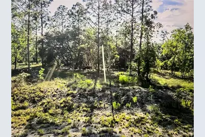 [Address not provided], Dunnellon, FL 34431 - Photo 1