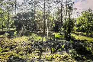 [Address not provided], Dunnellon, FL 34431 - Photo 1