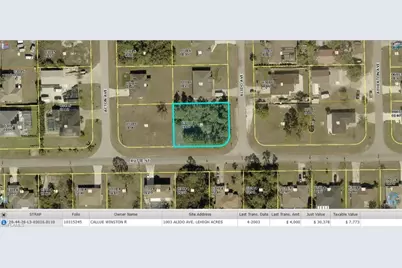 1003 Alido Ave, Lehigh Acres, FL 33971 - Photo 1