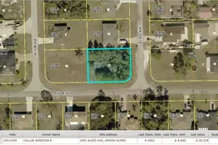 1003 Alido Ave, Lehigh Acres, FL 33971 - Photo 1