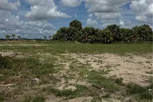 2624 NW 9th Ave, Cape Coral, FL 33993 - Photo 8